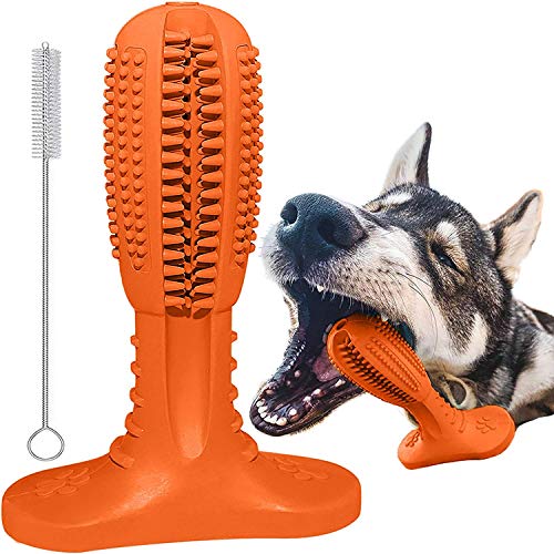 Hund Zahnbürste Stick Hundespielzeug, Hund Kauspielzeug für kleine mittelgroße Rassen Hunde - Hund Zahnputzspielzeug, Welpen Zahnbürste Spielzeug, Hund Zahnstäbchen