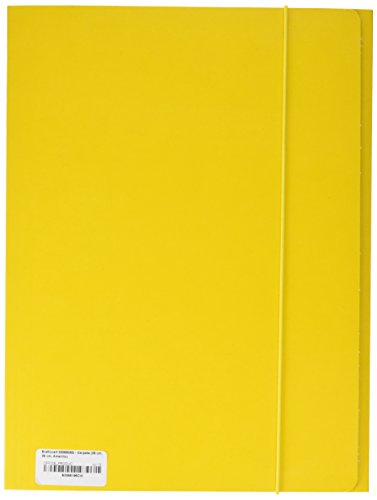 brefiocart 0208805 G – Ordner (25 cm, 35 cm, Gelb), 10 Stück