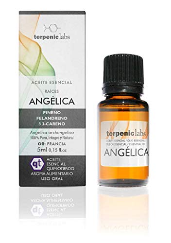 Terpenic evo Angelica ätherisches Öl für Lebensmittel, 5 ml, 1 Stück 300 g