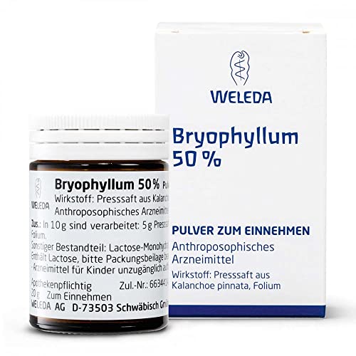 Bryophyllum 50% 2x50g; Multitalent während der Schwangerschaft; zur Behandlung von Ängsten und innerer Unruhe; jeden Abend 1 Messerspitze