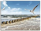 Artland Leinwandbild Wandbild Bild auf Leinwand 40x30 cm Wanddeko Strand Meer Maritim Landschaft See Ostsee Möwe Himmel Sommer T5QR