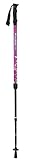 BungyPump Pink Charity - Multifunktionale Walking Stöcke mit integriertem 4 kg Widerstand - Personal Training, Nordic-Walking, Fitness Training, Rehabilitation, Physiotherapie