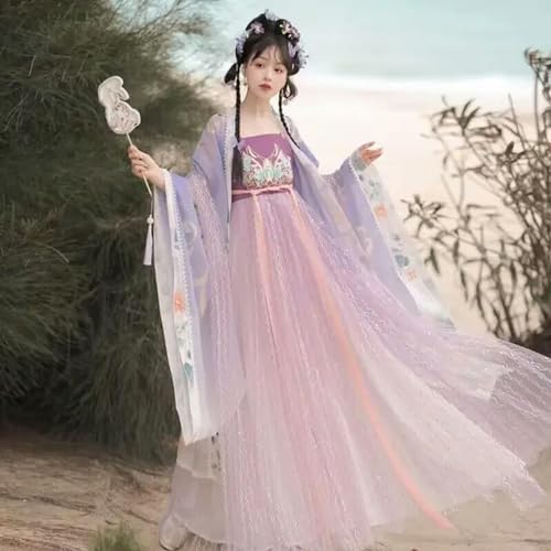 AJOHBM Hanfu Chinesisches traditionelles Cosplay-Kostüm für Damen, Halloween, Fee, Cosplay, Kostüm, antikes Hanfu, Violett
