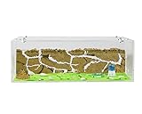 AntHouse - Ameisenfarm aus natürlichem Sand - Grosses Acryl Starter Set 30x15x10 cm (Ameisen)
