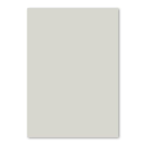 400x DIN A4 Papier - Hellgrau (Grau) - 110 g/m² - 21 x 29,7 cm - Briefpapier Bastelpapier Tonpapier Briefbogen - FarbenFroh by GUSTAV NEUSER