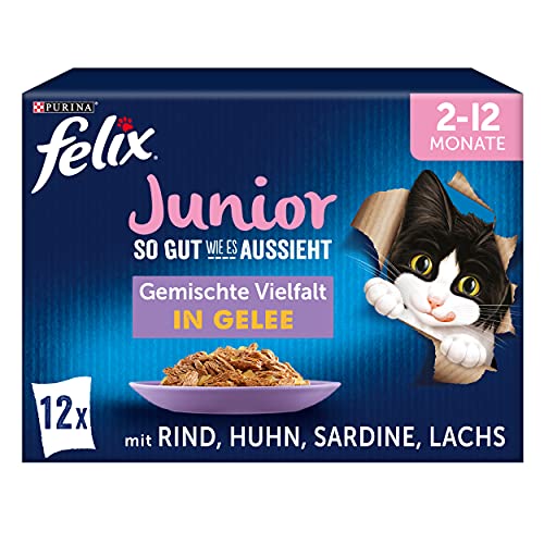 FELIX So gut wie es aussieht Junior Kittenfutter nass in Gelee, Sorten-Mix, 6er Pack (6 x 12 Beutel à 85g)