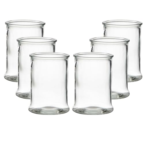 6 x Windlicht aus Glas in Zylinderform - H 17 cm - Ø 13 cm - Glas Windlicht - Blumenvase - Tischvase - Pflanzglas - Garten im Glas - Vase