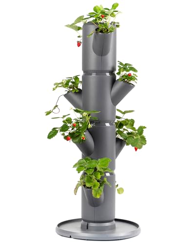 GUSTA GARDEN Sissi Strawberry (Starter, anthrazit/grau) - Pflanzgefäß/Topf für Erdbeeren - für Balkon und Garten