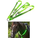 AimdonR LED Pferdegeschirr, Horse Breastplate Collar Hohe Sichtbarkeit Tack Für Reiten Einstellbare Sicherheitsausrüstung