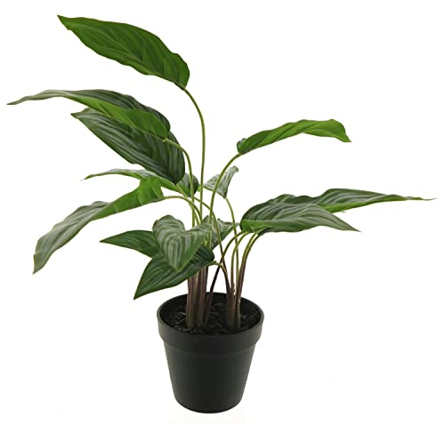 artplants.de Plastikpflanze Kolbenfaden XIPING, Dekotopf, grün, 50 cm - Deko Pflanze