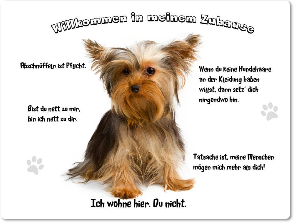 Merchandise for Fans Blechschild/Warnschild/Türschild - Aluminium - 30x40cm - - Willkommen in Meinem Zuhause - Motiv: Yorkshire Terrier - 02