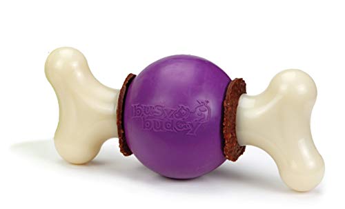 PetSafe Busy Buddy Bouncy Bone Hunde Hüpfknochen Snackspielzeug mit Leckerli- Ringen, Zahnpflege für Hunde