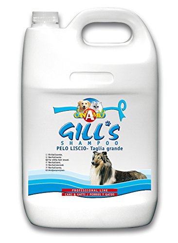 Croci C3052007 Gill's Hunde Shampoo für Glattes Fell LG, 5000 ml