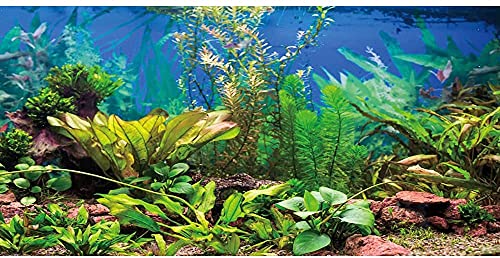 AWERT Hintergrund für Aquarien, Vinyl, 122 x 50,8 cm