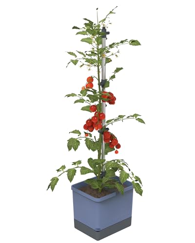 Tom Tomato - Tomatentopf - 4,5 L Wassertank Bewässerungssystem - Rankhilfe - Befestigungshaken - 20 L Erdvolumen - Kletterpflanzen - Pflanzkübel Pflanzgefäß Blumentopf Pflanzturm (Blau)