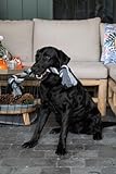 Floss Toss Hundeseil - sehr Robustes und sicheres Hundespielzeug - Hundeseil aus recycelter Baumwolle - graues Zugseil - 85cm - 4 Knoten
