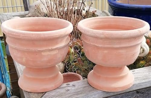 2er Set - rustikaler Blumentopf echt Terrakotta ca. 23 cm breit Garten Wohnung Deko Sommer PokalPflanztopf