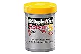 Dupla DuplaRin Colour S, 1er Pack (1 x 1.1 l)