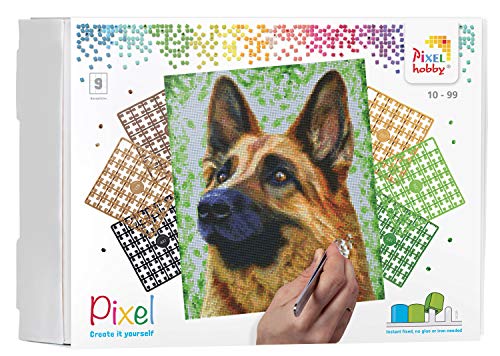 Pixel P090049 Mosaik Geschenkverpackung Hund. Pixelbild Circa 30.5 x 38.1 cm groß zum Gestalten für Kinder und Erwachsene, Bunt