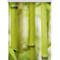 Seitenzugrollo »Klemmfix Motiv Bambus«, LICHTBLICK, Lichtschutz, ohne Bohren, freihängend, bedruckt