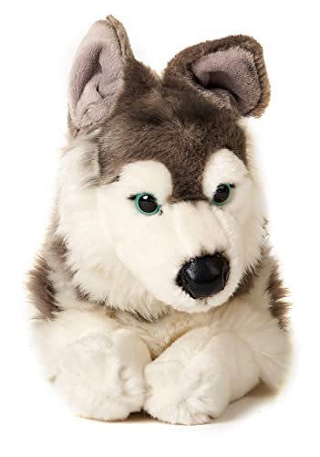 Uni-Toys - Husky, liegend - 36 cm (Länge) - Plüsch-Hund, Haustier - Plüschtier, Kuscheltier