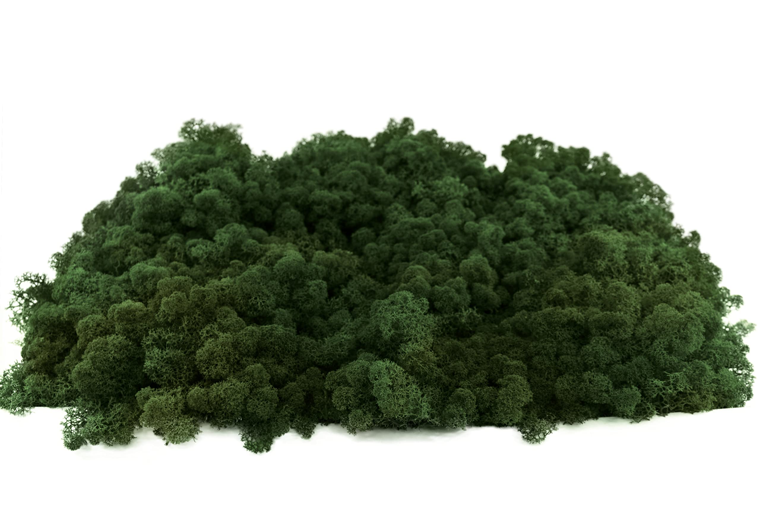 INMO Moos - Islandmoos echtes Natur Moos konserviert 500g Dunkelgrün. Dekomoos zum Basteln, Moosbild, Wand-Bilder, Wanddeko, Modellbau weitere Farben und Mengen zur Auswahl 40g - 500g 1 KG - 4 KG