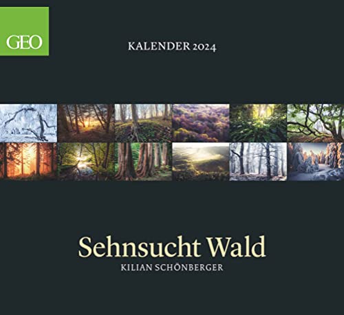 GEO Kalender: Sehnsucht Wald Posterkalender 2024, im Format 60 x 55 cm, Monatskalender, Naturkalender mit fastzinierenden Waldaufnahmen: Wand-Kalender - Natur-Kalender