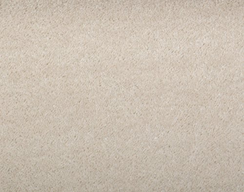 Teppichboden Shaggy Hochflorteppich Bodenbelag Auslegware Uni hellbeige 350 x 400 cm. Weitere Farben und Größen verfügbar