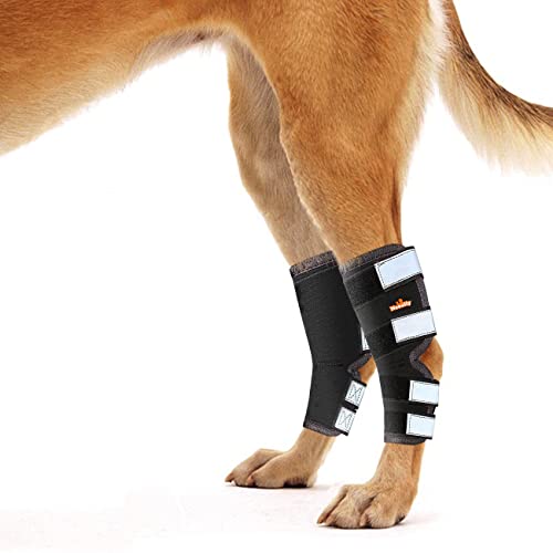 NeoAlly Dog Hind Leg Braces [Long Pair] Canine Rear Leg Hock Sleeves with Safety Reflective Straps for Joint Injury and Sprain Protection, Wound Healing and Arthritis (Small Long Pair)