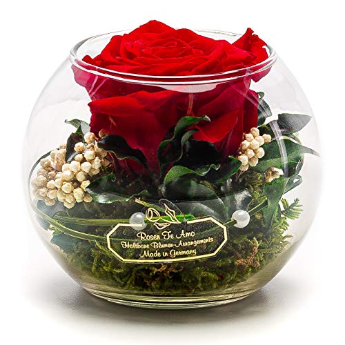 Rosen-Te-Amo - Konservierte ewige rote Rose in der Kugel Vase, Blumenstrauß im Glas mit Liebe gefertigt Deko-Pflanzen; Infinity Deko-Blumen