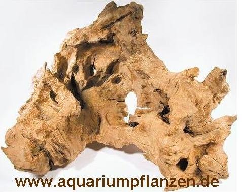 Mühlan Topartikel- 3 Mooreichenwurzeln je 20-30 cm Wurzel, Aquarium, Moor