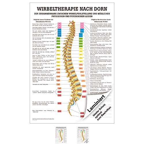 Anatomisches Poster "Wirbeltherapie nach Dorn", 70x50 cm, laminiert