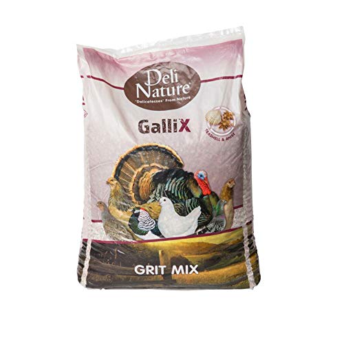 Deli Nature 20kg GalliX Grit Mix