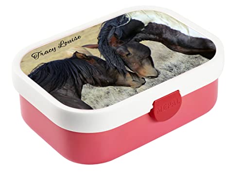 CreaDesign, Brotdose Kinder mit Fächern personalisiert Lunchbox Rosa mit Bento Einsatz, Brotbox mit Unterteilung Pferde Paint Horses