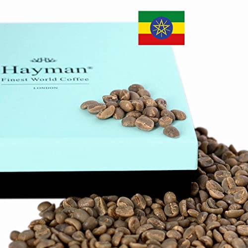 100% Yirgacheffe Kaffee aus Äthiopien - Grüne Kaffeebohnen - Einer der besten Kaffees der Welt, frisch von der letzten Ernte! (Schachtel mit 680g/24oz)
