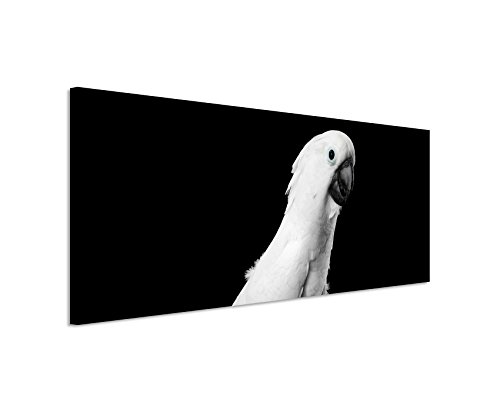 Wunderschönes Wandbild 150x50cm Tierbilder – Putziger Kakadu schwarz weiß
