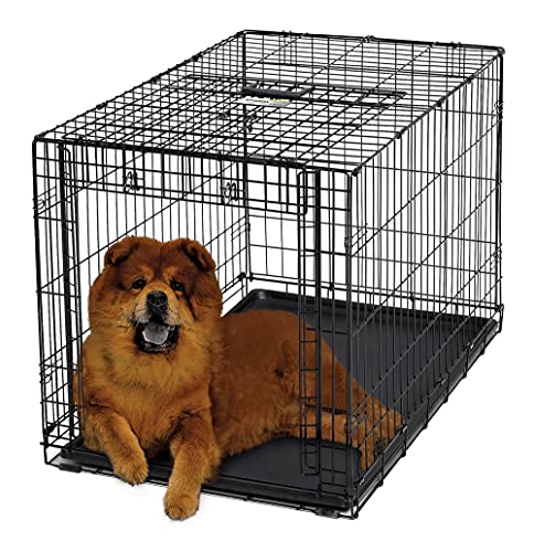 MidWest Homes for Pets Ovation-Hundekäfig mit Einzelklappe, 91,44 cm