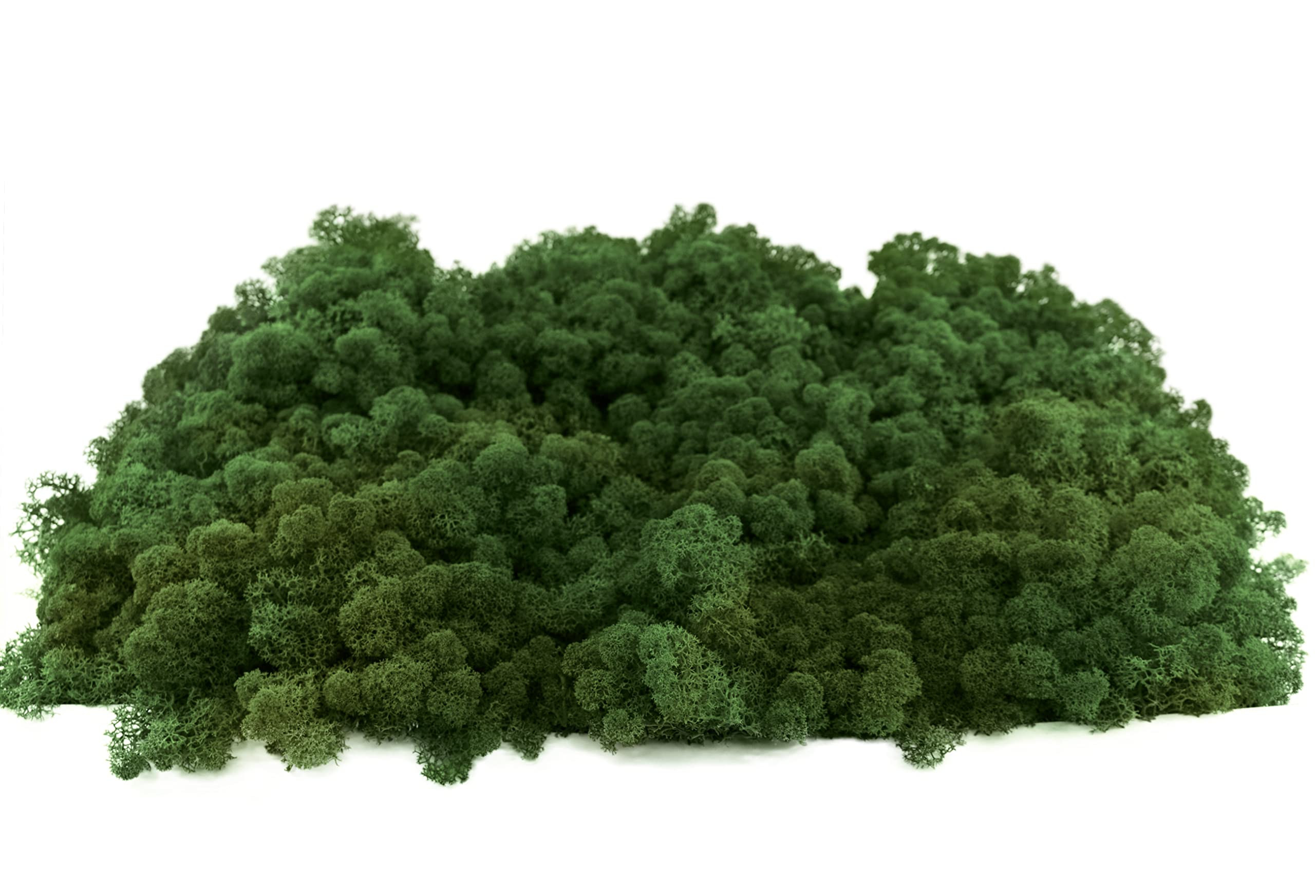 INMO Moos - Islandmoos echtes Natur Moos konserviert 500g Laubgrün. Dekomoos zum Basteln, Moosbild, Wand-Bilder, Wanddeko, Modellbau weitere Farben und Mengen zur Auswahl 40g - 500g 1 KG - 4 KG