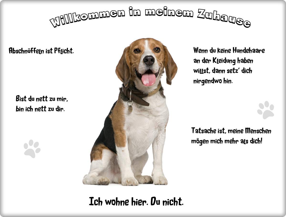 Merchandise for Fans Blechschild/Warnschild/Fun Türschild 30x40cm - Willkommen in Meinem Zuhause - Motiv: Beagle sitzend Tricolor - 03