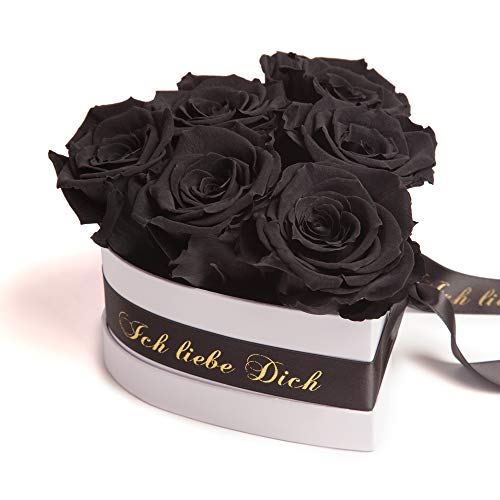 ROSEMARIE SCHULZ Heidelberg Infinity Rosenbox in Herzform mit konservierten Rosen in Schwarz Geschenk zum Valentinstag (Schwarz, Medium)