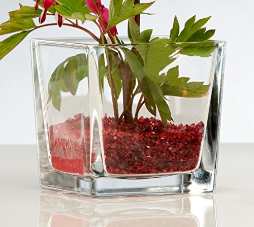 Sandra Rich 5X Glasvase Cube Glasvase Teelichtglas Windlicht Vase Glas Würfel, Ø 10 cm