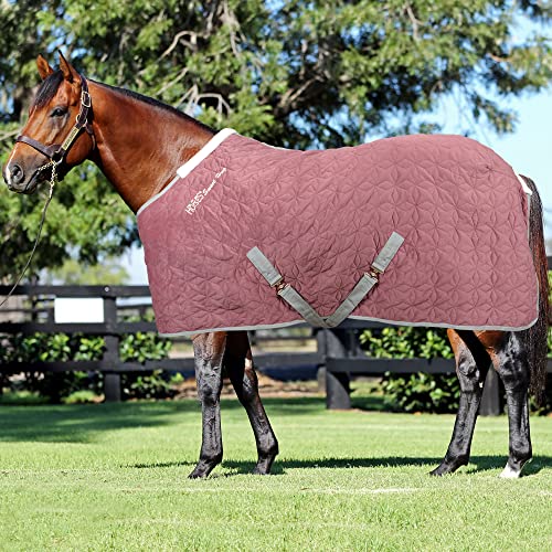 Horses Quazar Velvet 160 g Rosa 155 cm, hervorragende Verarbeitung, nützlich zum Schutz des Pferdes vor Temperatursprüngen