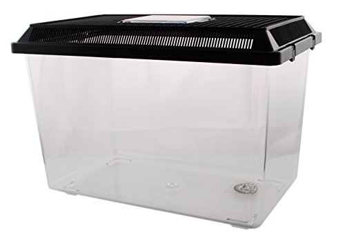 Dragon Neu PET-PLAZA Kunststoffbox - Faunarium - Kunststoffterrarium - Faunabox - Insektenbox - Insektenterrarium - Box für Futterinsekten (37 x 22 x 25,5cm)
