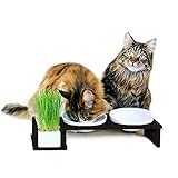 Katzennapf erhöht, Futternapf Katze Cat Diner mit DREI Keramik Näpfen, Ø14,5 cm Fressnapf, Futterschale, Futterstation, schwarz