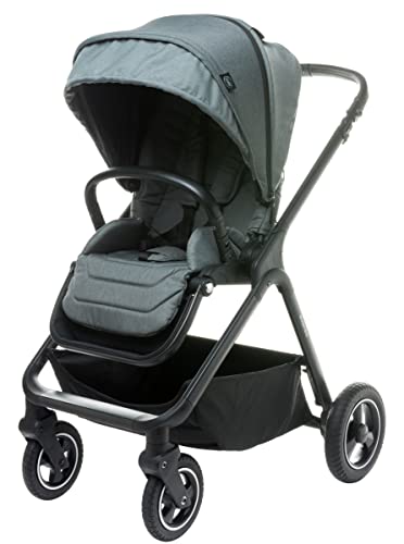 4Baby Everso Kinderwagen, grau, geeignet für Kinder von 6 Monaten bis 4 Jahren, max. Traggewicht: 22 kg