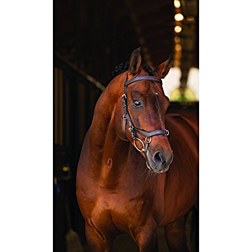 Horseware Rambo New Micklem Multi Proffesional black (Pony)