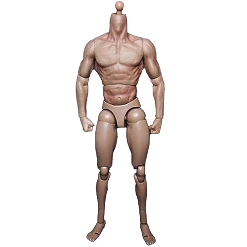 Bzwyonst Schmalschultrige Männliche Körperpuppen-Actionfigur im Maßstab 1:6 für TTM18 TTM19 Hot Toys & Skizzenmodell Des Menschlichen Körpers