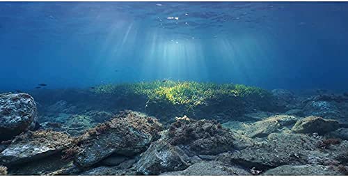 AWERT Ocean Floor Fish Tank Hintergrund Unterwasserstein Aquarium Hintergrund 182,9 x 45,7 cm Vinyl
