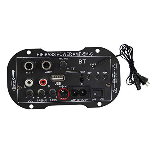 H HILABEE Digitale Audio Bluetooth Verstärker Bord Mini 12V 220V Mono Stereo Dual Zweck Dual MIC Subwoofer Broadcast Sound DIY mit BT USB TF w/Remote