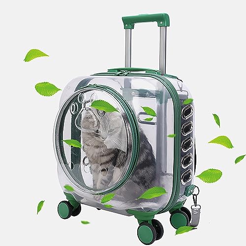 Katzentragetasche mit tragbarem, transparentem Design – Haustier-Trolley für Reisen & Spaziergänge im Freien – Universalräder – ideal für Katzen & Welpen – wanderfreundlich